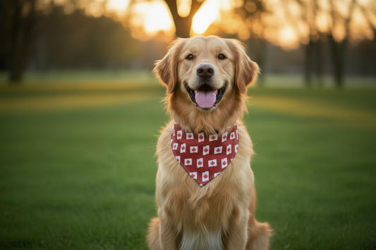 Snap-On Dog Bandana - Water-Resistant & Reversible