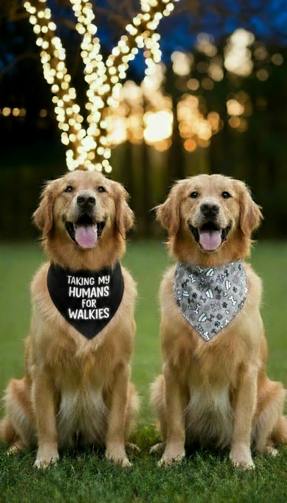 Golden retrievers with black and gray bandanas