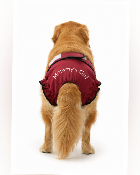 Regular Fit Dog Diapers with Cute Sayings - Burgundy