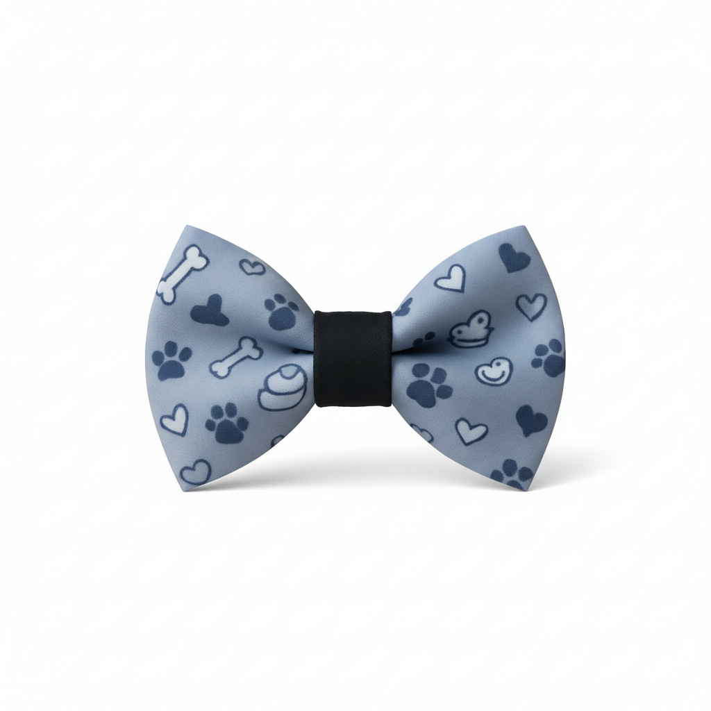 Light blue bow tie on white background