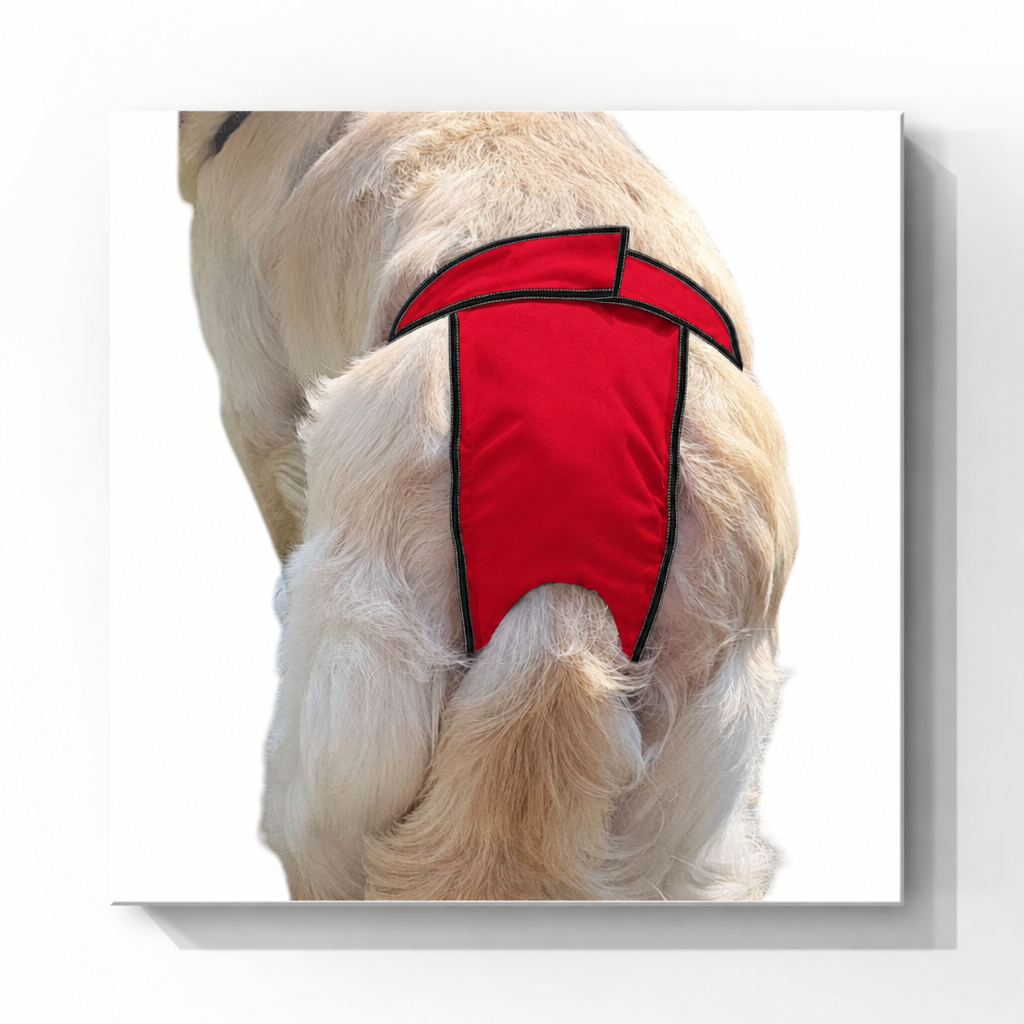 High-Cut Female Dog Diapers For Active Dogs