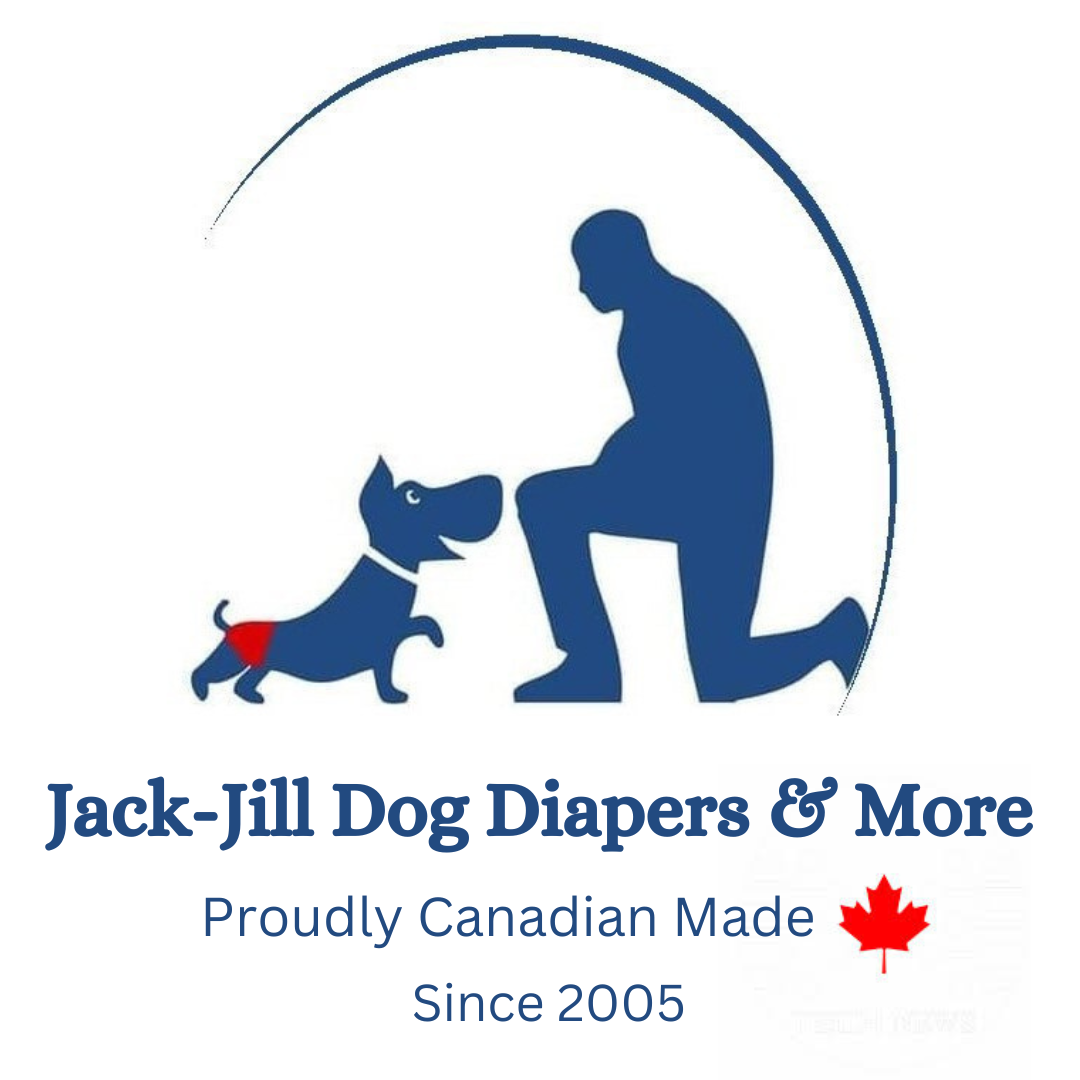 Dog has diaper rash hotsell