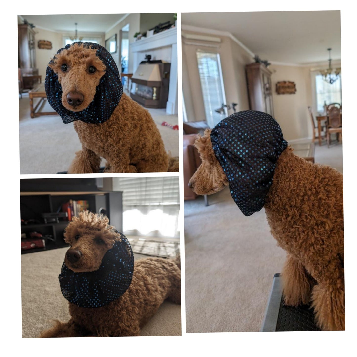 Dog Snoods - Waterproof & Sequin Ear Covers