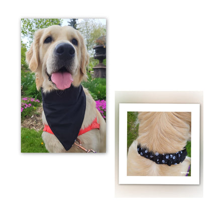 Dog Bandana  Scrunchie - White Paw Print/ Black