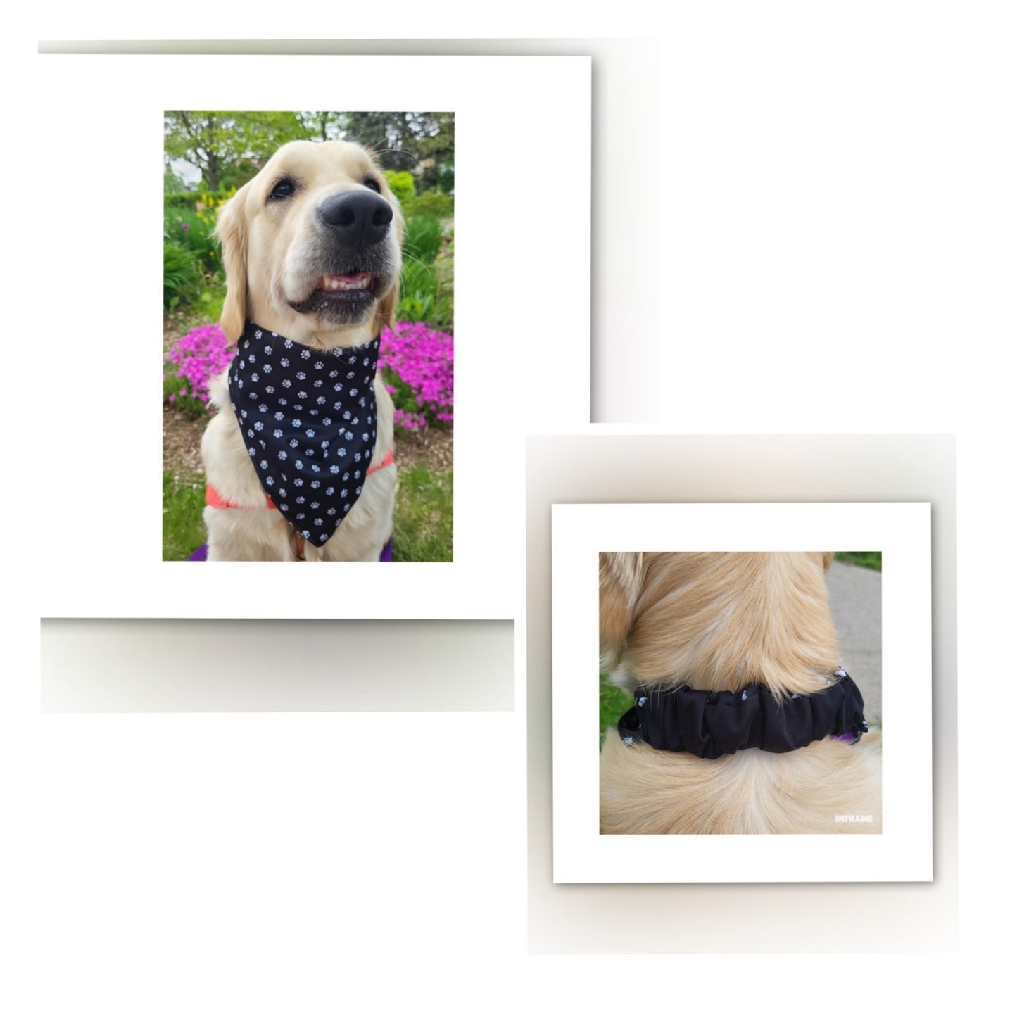 Dog Bandana  Scrunchie - White Paw Print/ Black