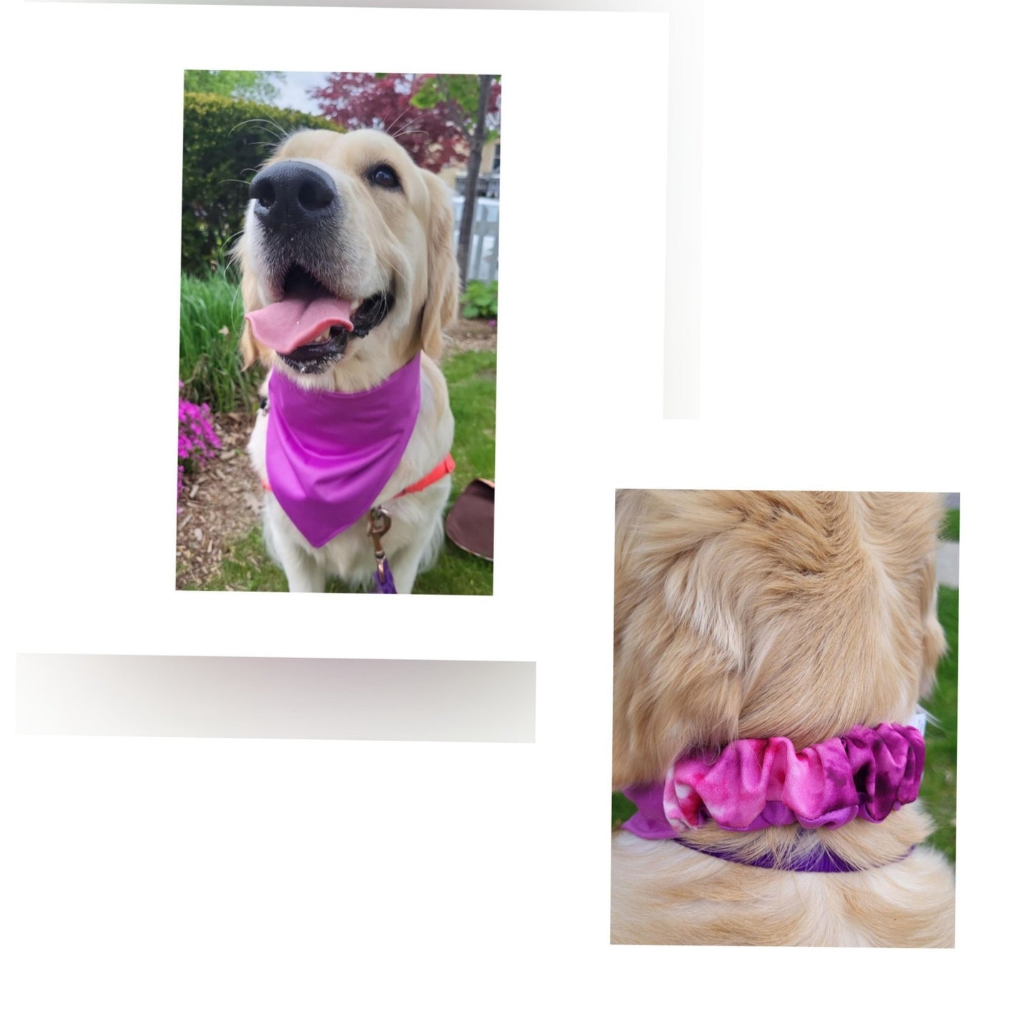 Dog Bandana Scrunchie - Purple Tie Dye/ Violet