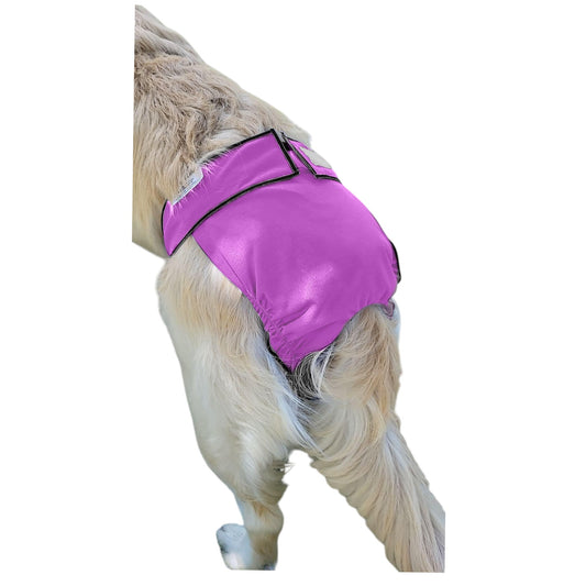 Female Dog Diaper | Britches | With Tail Opening | Violet Print