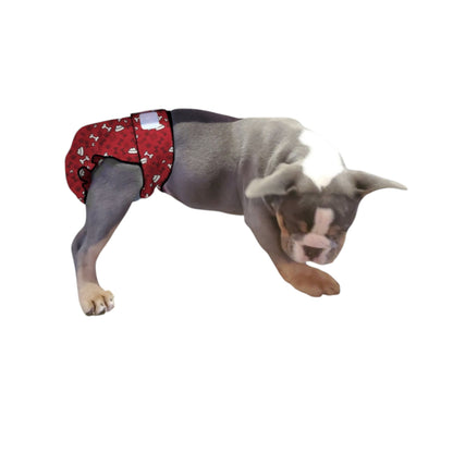 Female Dog Diaper Britches | No Tail Opening | Red Bones Print