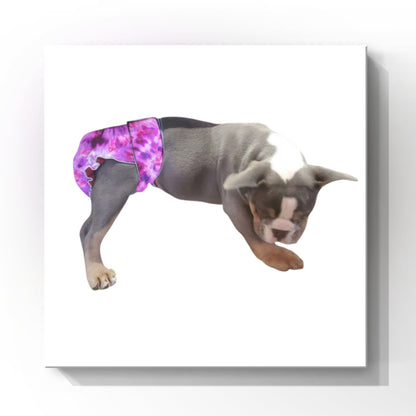 Female Dog Diapers (Britches) | No Tail Opening | Purple Tie Dye Print