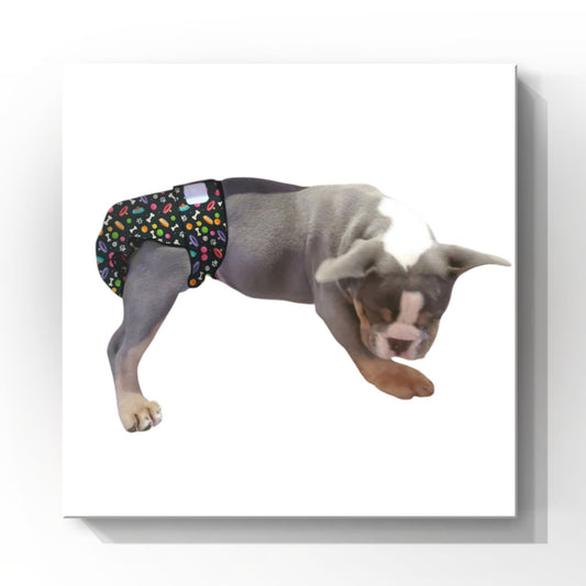 Female Dog Diapers (Britches) | No Tail Opening  Playful Print