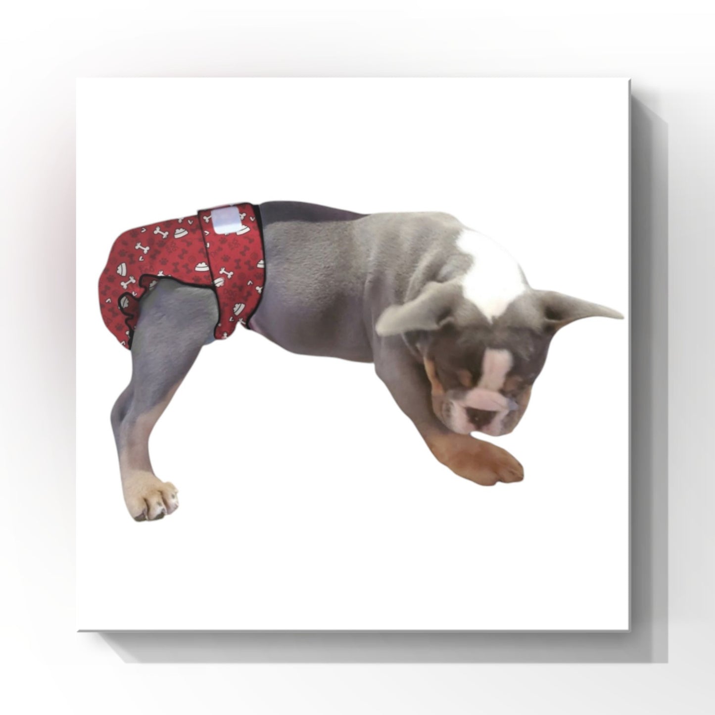 Female Dog Diaper Britches | No Tail Opening | Red Bones Print