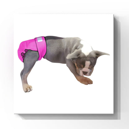 Female Dog Diapers (Britches) | No Tail Opening | Pink Print