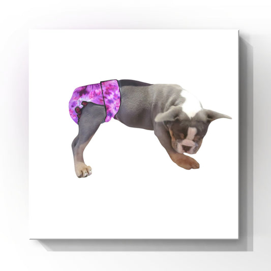 Female Dog Diapers (Britches) | No Tail Opening | Purple Tie Dye Print