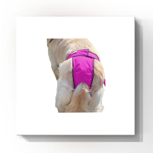 High-Cut Dog Diaper Britches | Pink Print