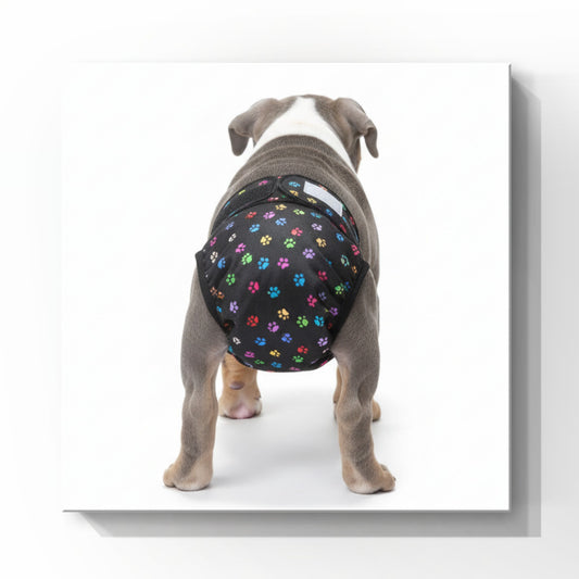 No-Tail Female Dog Diaper – Full Coverage for Stubby Tails