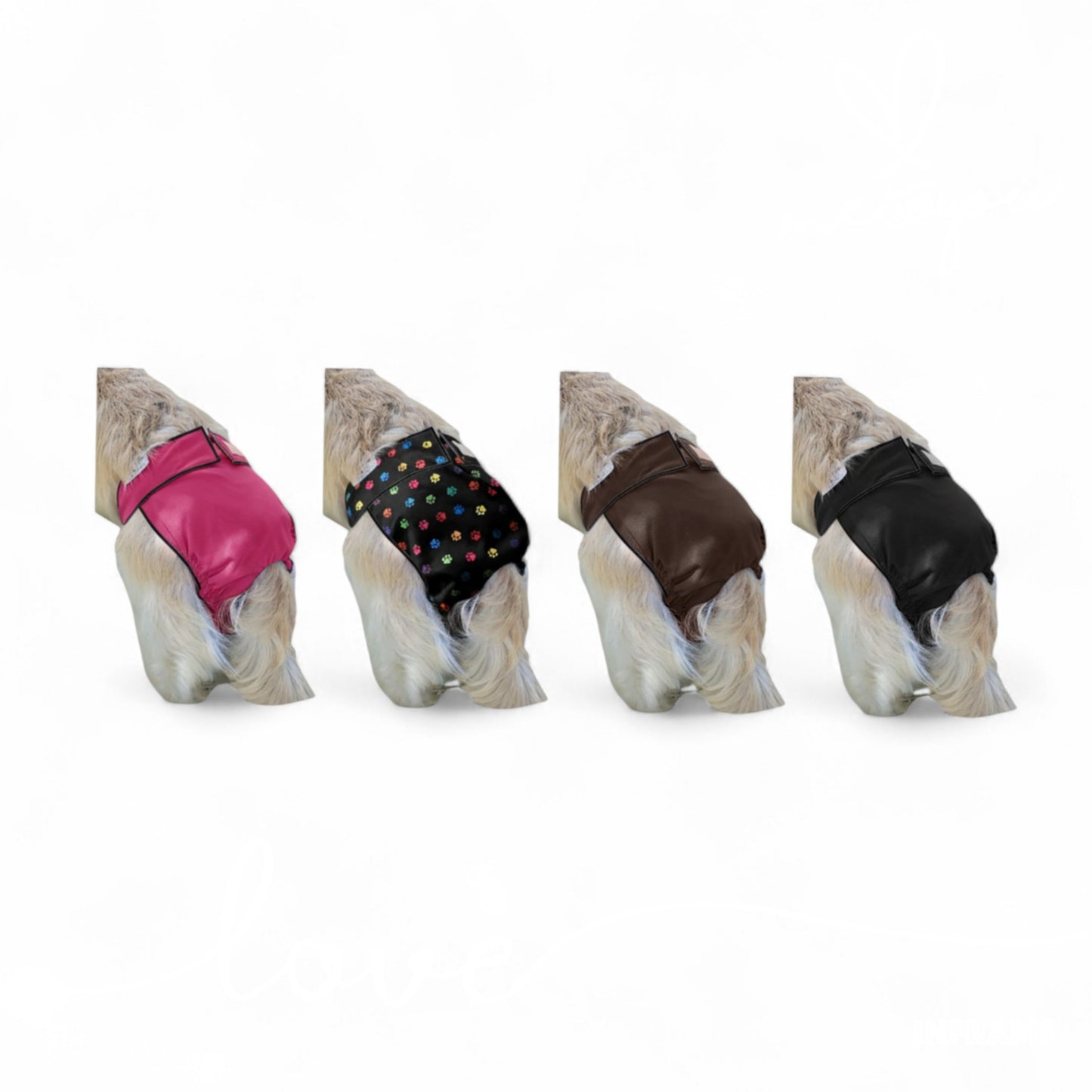ACGS Female Dog Diapers