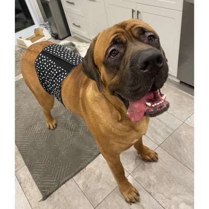 Male Dog Belly Band – Wide-Coverage