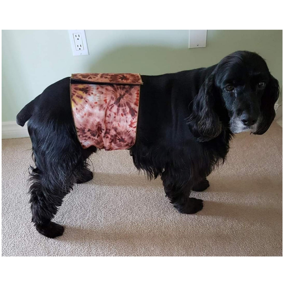 Male Dog Belly Band – Wide-Coverage