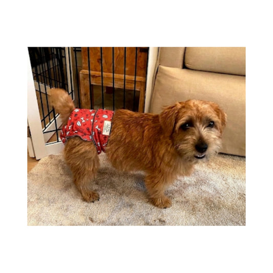 Original Classic Fit Female Dog Diapers