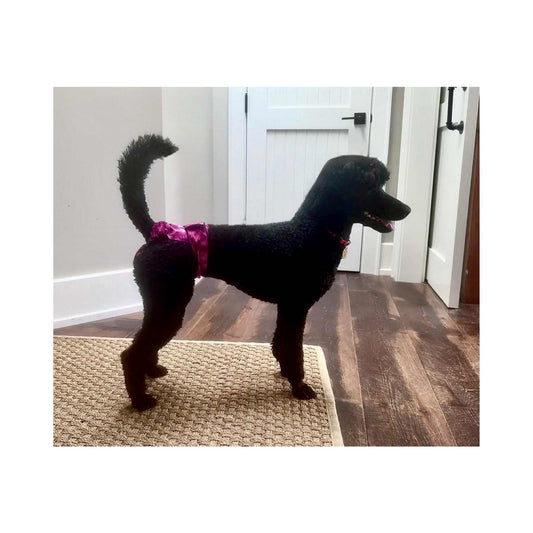 High-Cut Female Dog Diapers For Active Dogs