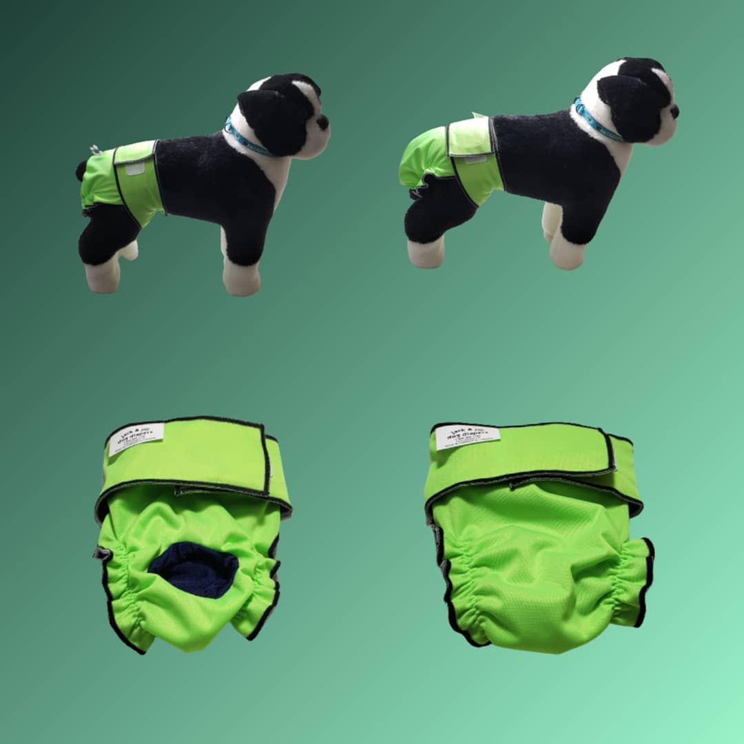 Female Dog Diaper Britches Without Tail Opening Neon Green