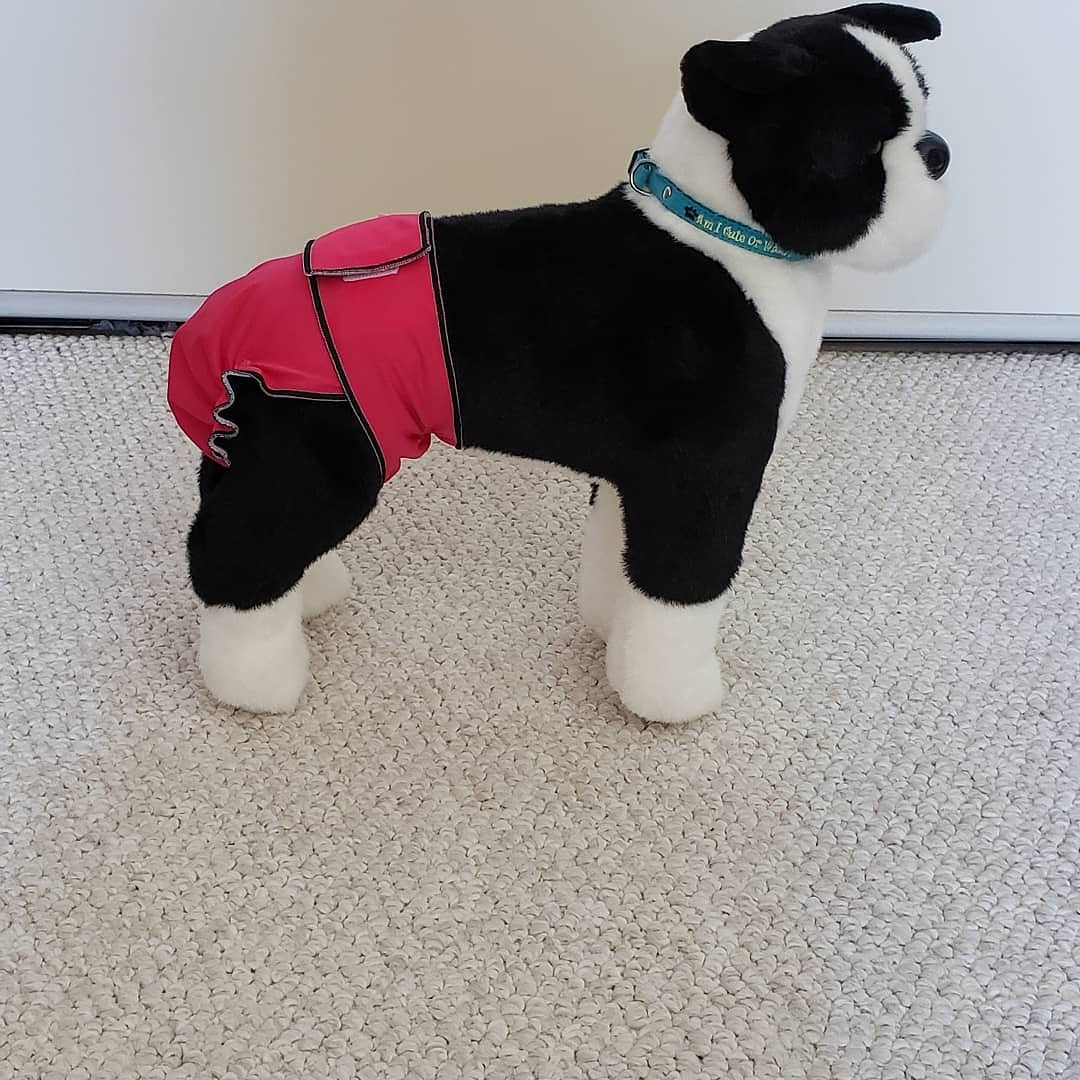 Best sales dog diapers